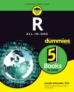 Schmuller Joseph - R All-in-One For Dummies - 2023