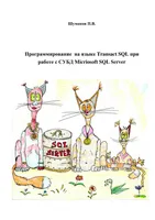 Программирование на языке Transact SQL при работе с СУБД Microsoft SQL Server