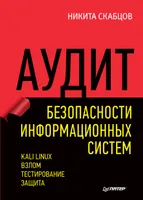Аудит безопасности информационных систем