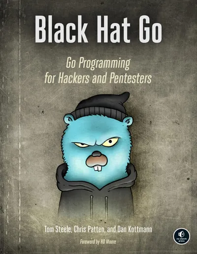 Black Hat Go: Go Programming for Hackers and Pentesters
