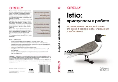 Istio: приступаем к работе. Использование сервисной сетки для связи, безопасности, управления и наблюдения