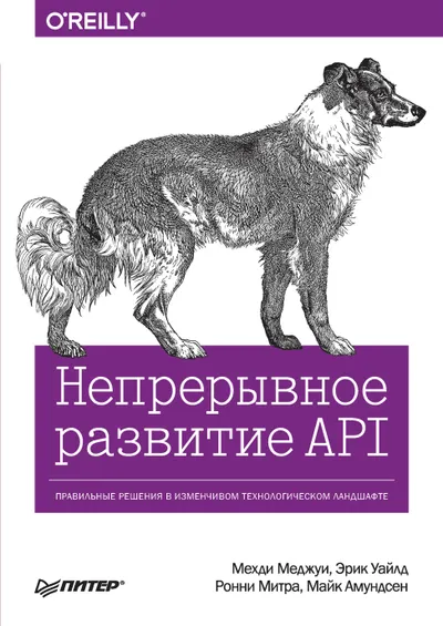 Непрерывное развитие API. Правильные решения в изменчивом технологическом ландшафте