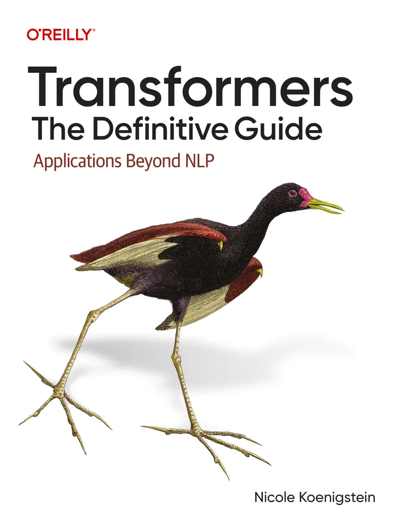 Transformers: The Definitive Guide. Applications Beyond NLP