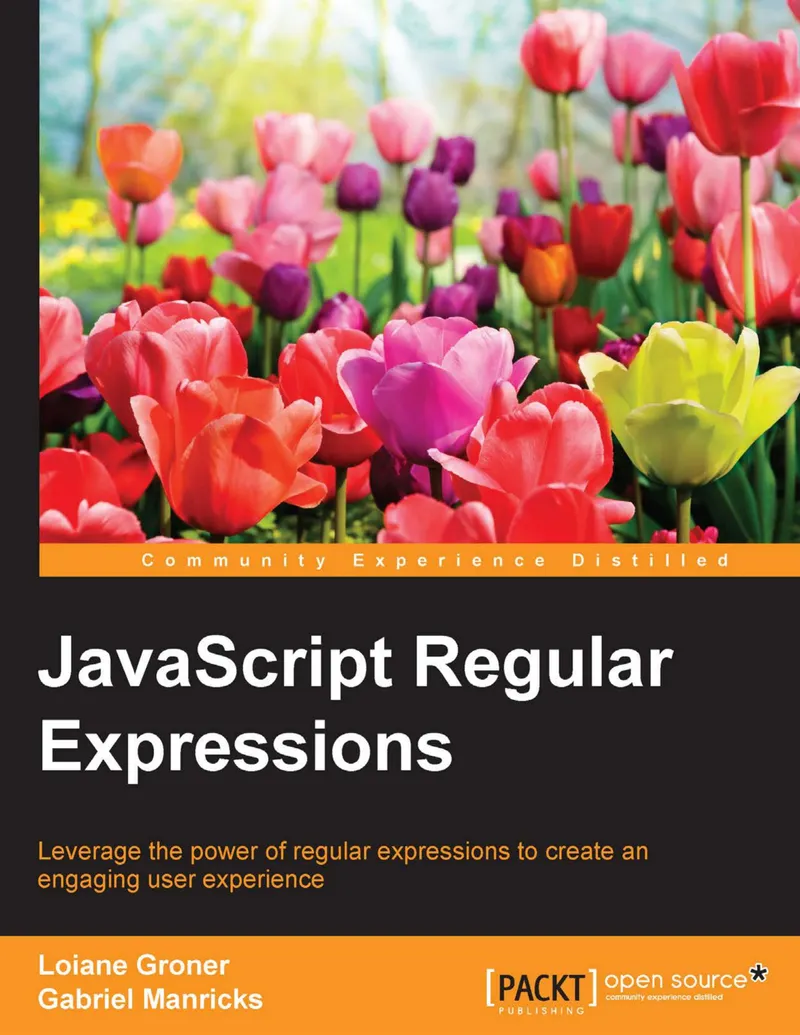 JavaScript Regular Expressions