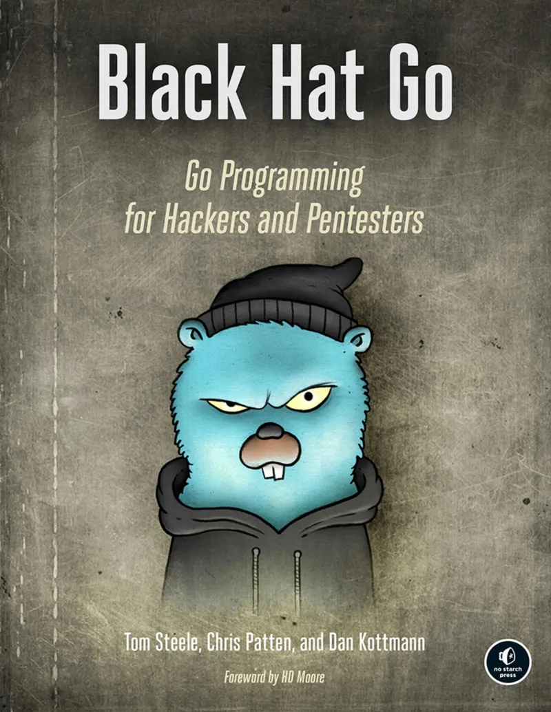 Black Hat Go: Go Programming for Hackers and Pentesters