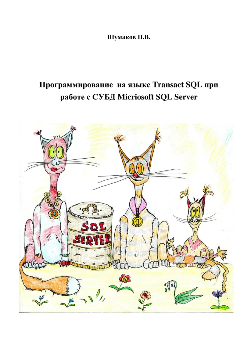 Программирование на языке Transact SQL при работе с СУБД Microsoft SQL Server