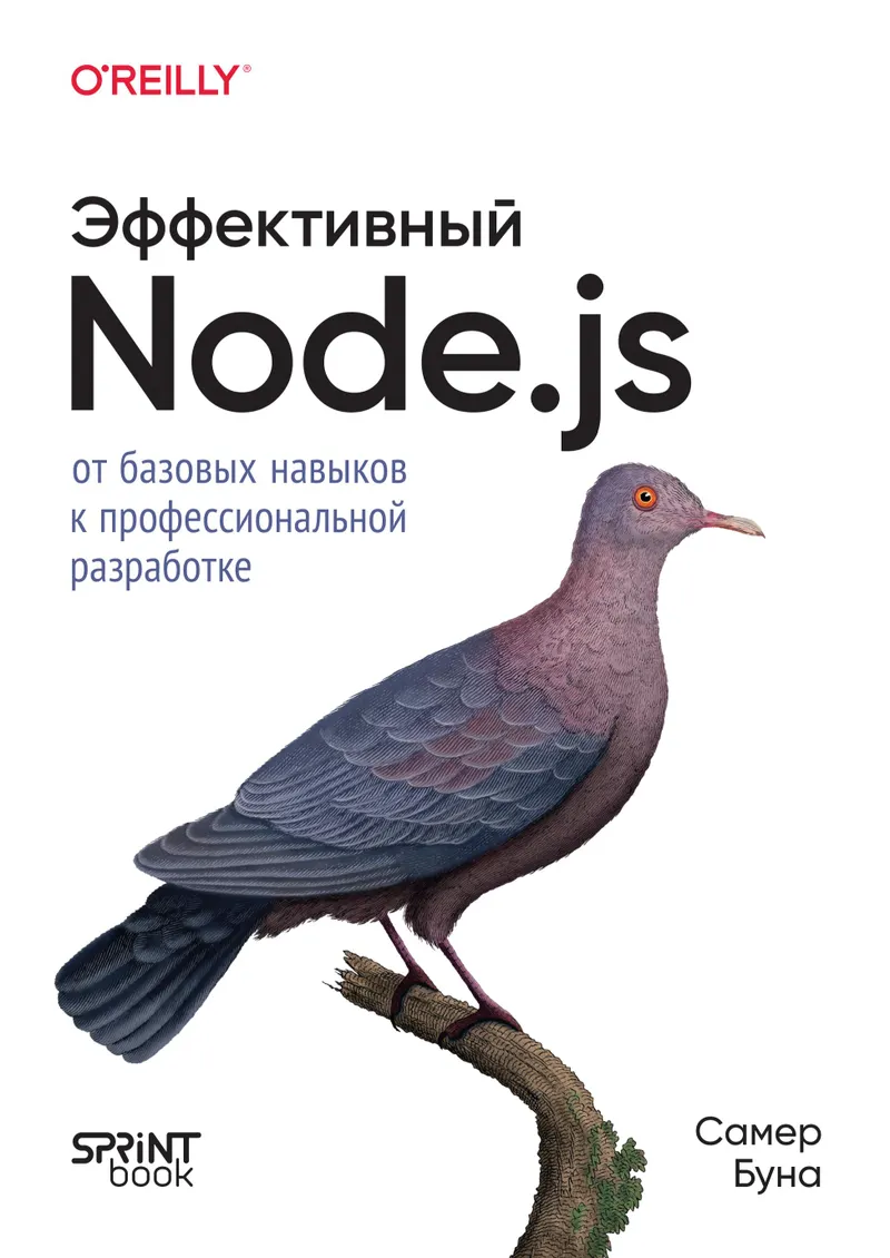 Эффективный Node.js. От базовых навыков к профессиональной разработке