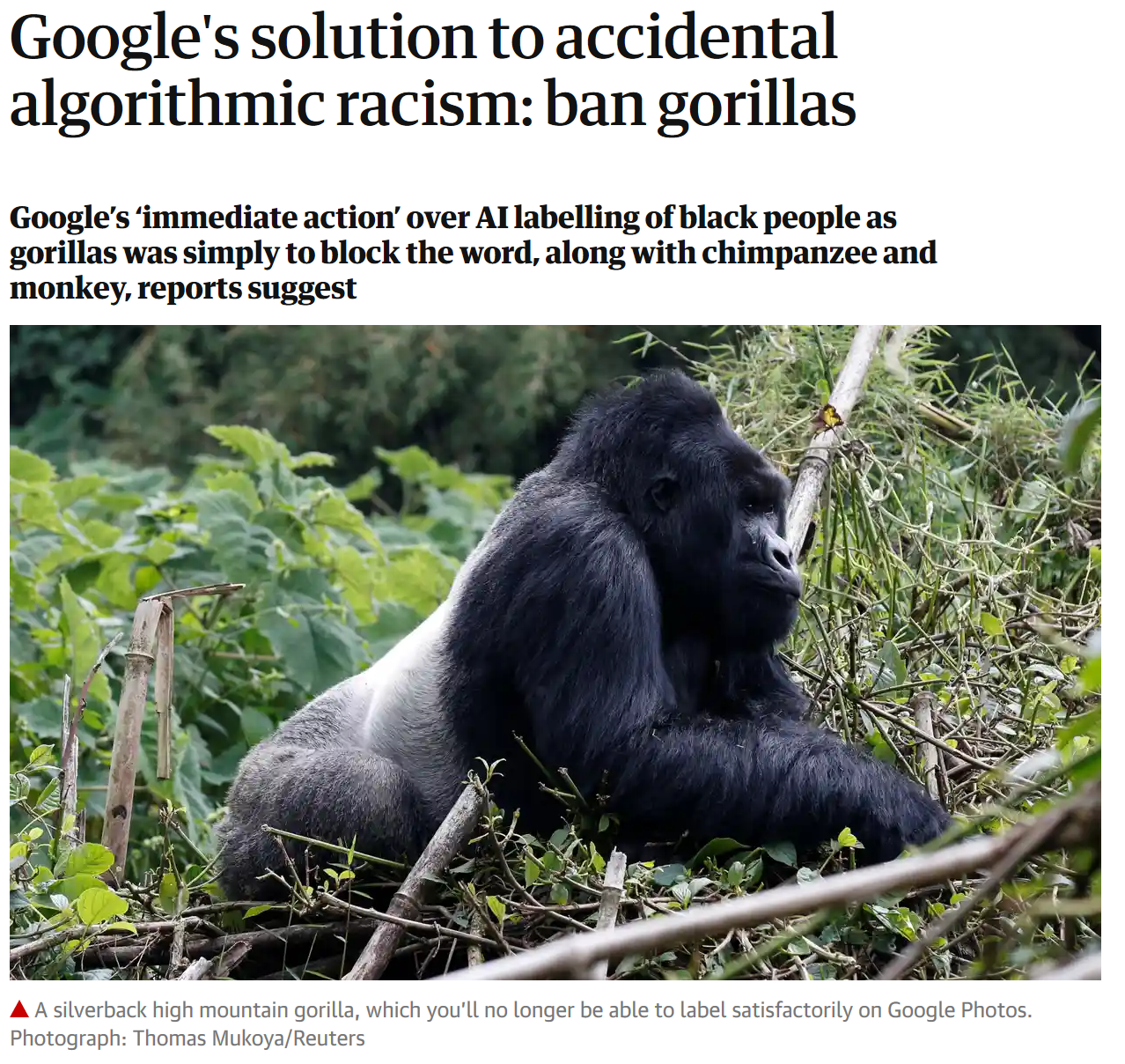 Pictures of a headlines from the Guardian, showing Google removed gorillas and other moneys from the possible labels of its algorithm